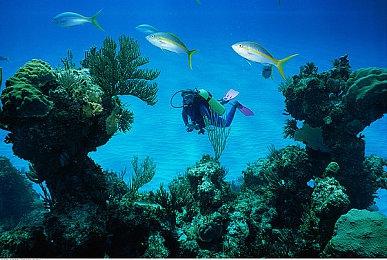 PS5主机推送新固件更新 优化自动低延迟模式设置